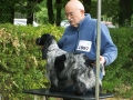 11.07.2015 CACIB i nominacja na Crufts 2016 (CACIB and qualification for Crufts 2016)