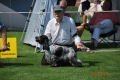 23.07.2016 International Show in Częstochowa - CAC, CACIB, Best Dog - CAC, CACIB, Best Dog