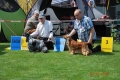 23.07.2016 Międzynarodowa Wystawa w Częstochowie - CWC (CAC), CACIB, Best Dog