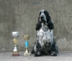 Dumny zdobywca pucharów (Proud cup winner)